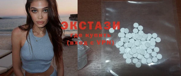 ECSTASY Богородицк